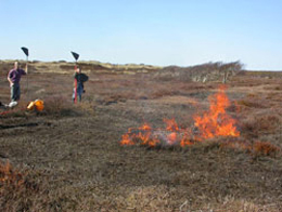 Passning av brand. Foto: Kill Persson