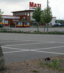 Strandskata h�ckar p� parkering. Foto: Kill Persson